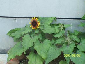 ��ͨ����͸�����豸��Ƶ���㶫һ�ֳ�����¼�����ҷַ��ӿ��Ը��һ�䳧...